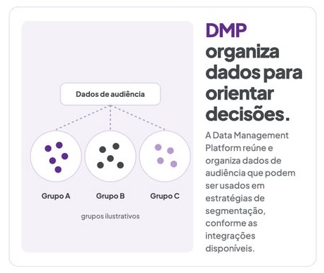 DMP: A Plataforma de Gestão de Dados